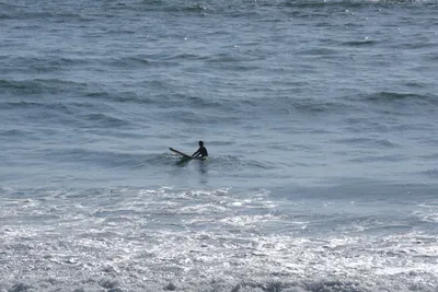 DSC_6926 (Large).JPG